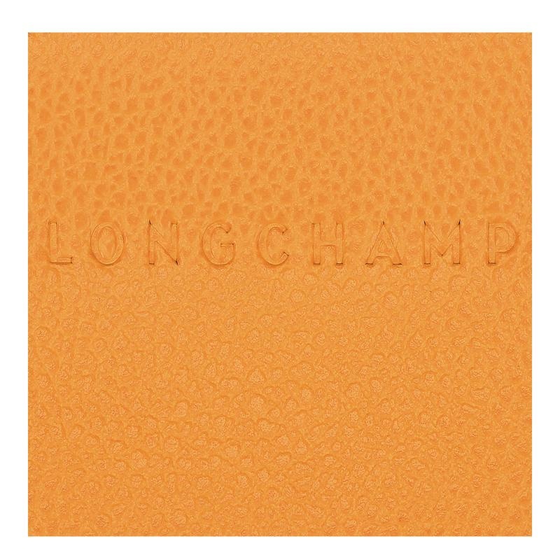 Apricot Orange Men's Longchamp Le Foulonné Cardholders | BGTZJ-5260