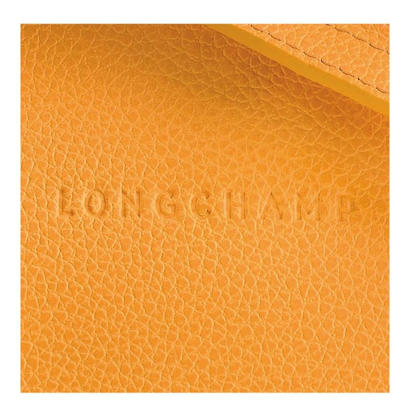 Apricot Orange Women's Longchamp Le Foulonné S Crossbody Bags | BROJA-1762