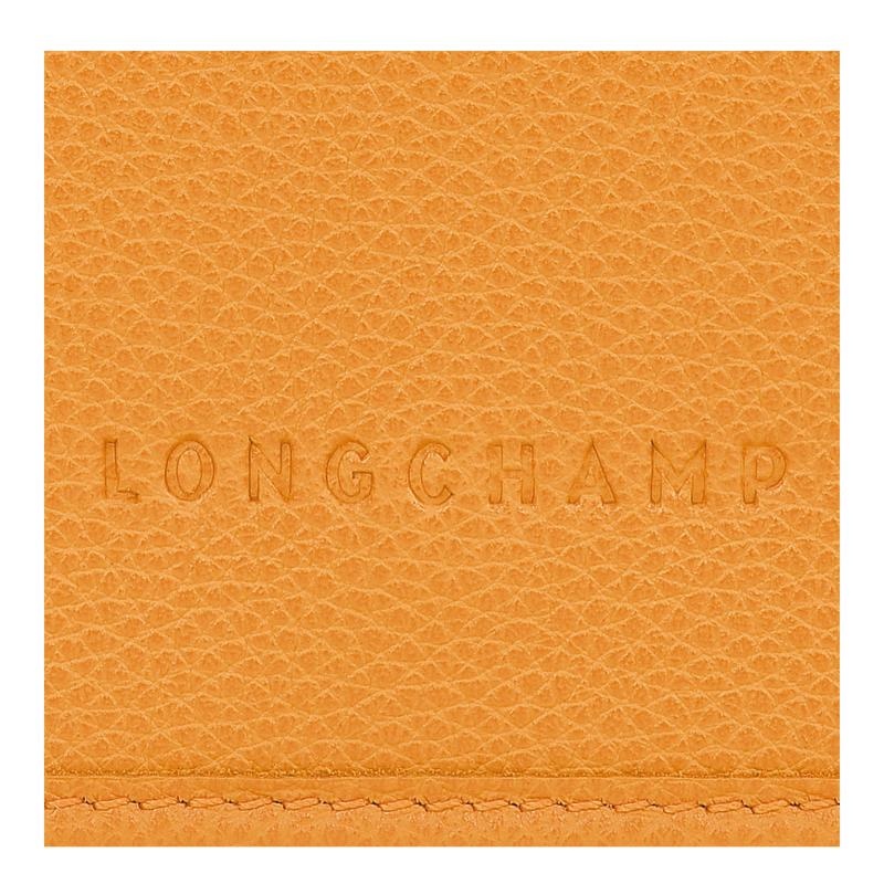 Apricot Orange Women's Longchamp Le Foulonné XS Clutch Bag | VCQUW-3092